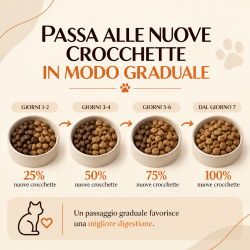 Crocchette Bilanciate per Gatti | Tacchino e Pollo | 100% Grain Free