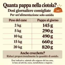 Pappa Tacchino e Semi di lino