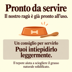 Ragù Manzo e Zucchine