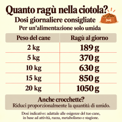 Ragù Manzo e Zucchine