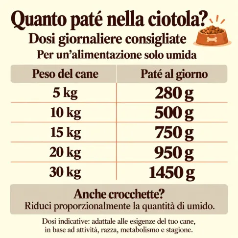 Patè Agnello, Zucca, Carote