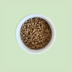 Tacchino e Piselli Grain Free MINI