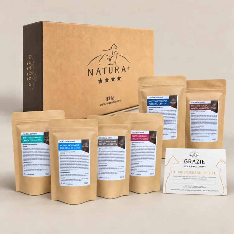 Kit Prova Crocchette Gluten Free