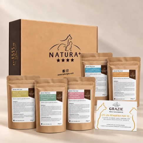 Kit Degustazione Gatto Crocchette