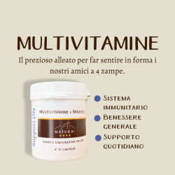 Support ON