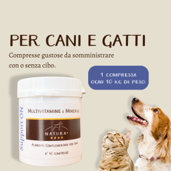 Support ON