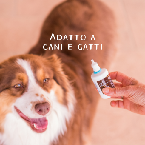 Gentle Ear Cleaning Lotion