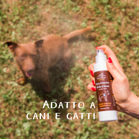 Neem Oil Protective Spray